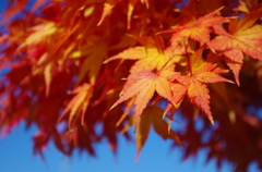 2012/10/29