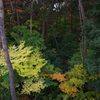2012/11/9