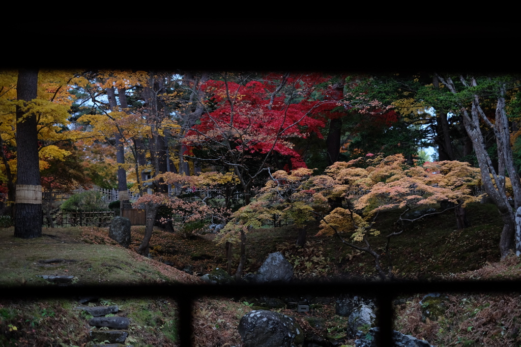 2015/11/20