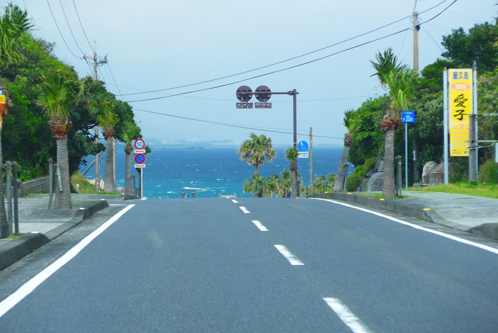 屋久島 (10)