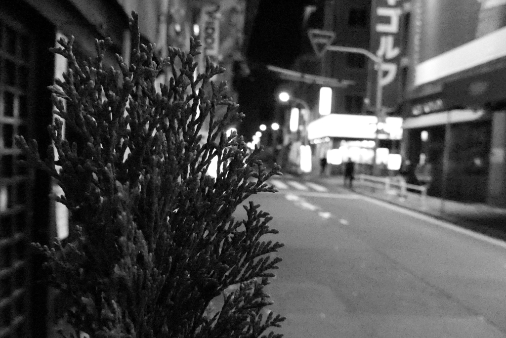 アメ横から秋葉原へ2013年11月 夜 (37)