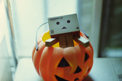 PICT0389_20130319_182218ダンボー