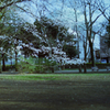 芦花公園