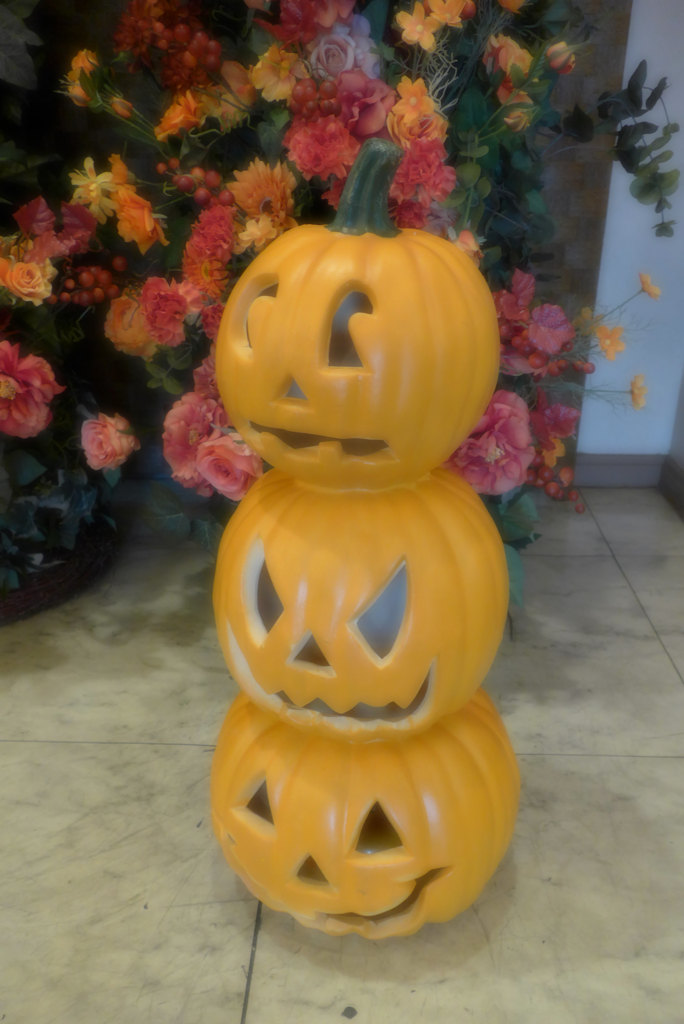 山下公園辺り (1)