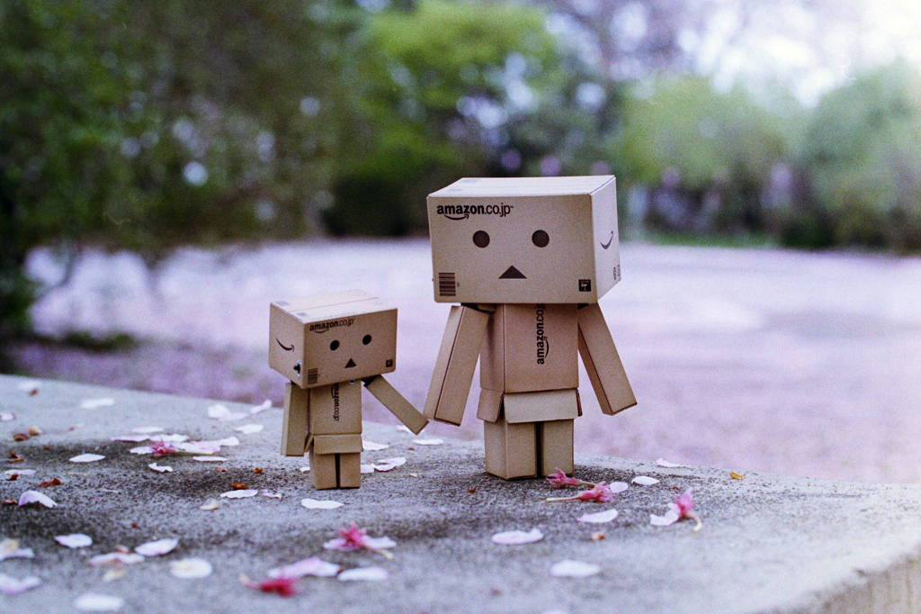 桜散っちゃったね