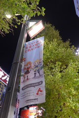 夜・秋葉原２ (9)