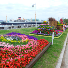 横浜・山下公園2