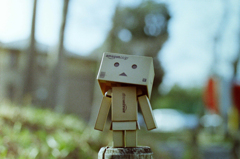 いい天気･ダンボー