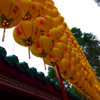 台湾・龍山寺 (1)