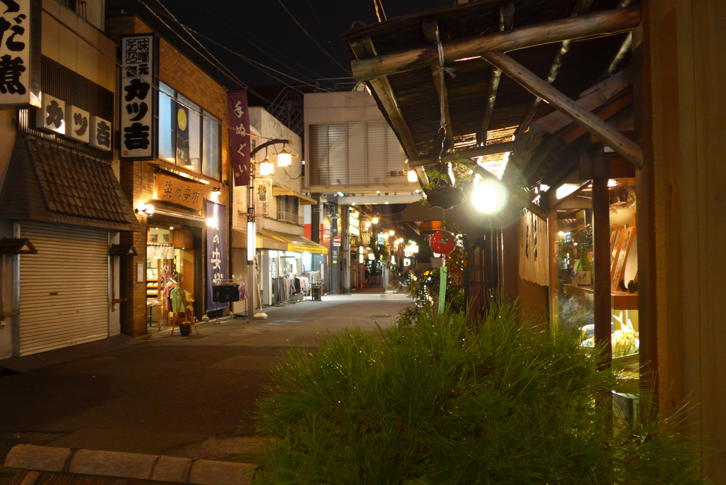 浅草散歩･夜 (3)