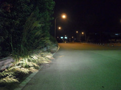 年間被爆量換算５ｍSv以上・東北自動車道鹿島付近