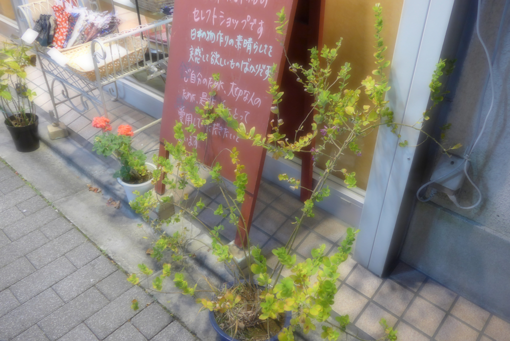 荻窪の商店街辺り (3)