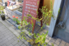 荻窪の商店街辺り (3)