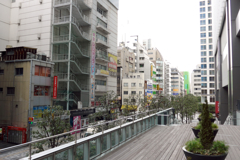 秋葉原へ (11)