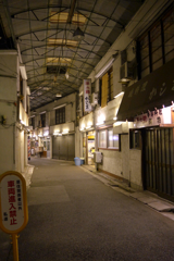 深夜･自転車散歩・芦花公園･北 (2)