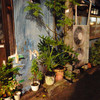 夜・浅草界隈