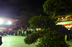 iso400神田明神様