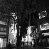 夜・新宿界隈