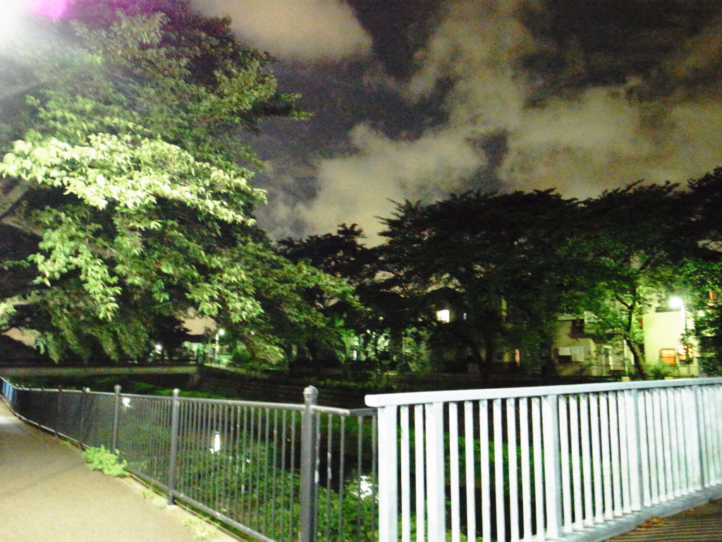 夜・野川