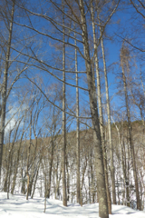 長野へ (3)