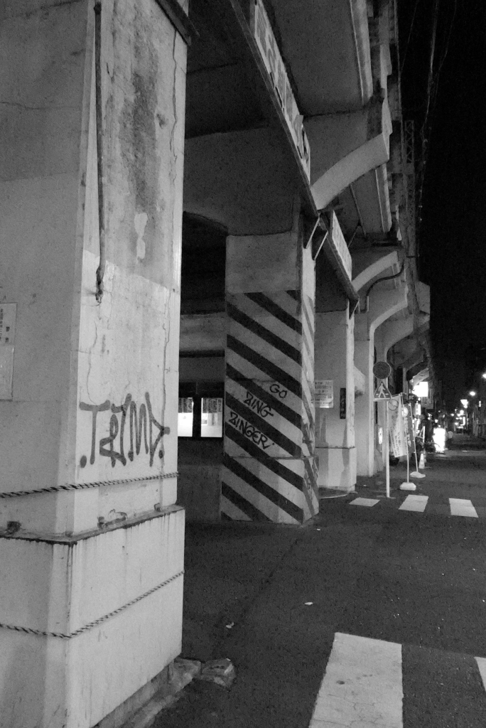 アメ横から秋葉原へ2013年11月 夜 (40)