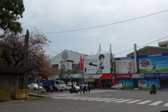 独立国・台湾・嘉義県にて (11)