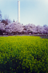 芦花公園