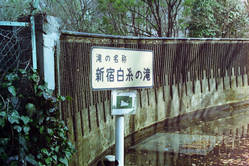 新宿の滝1303 (2)