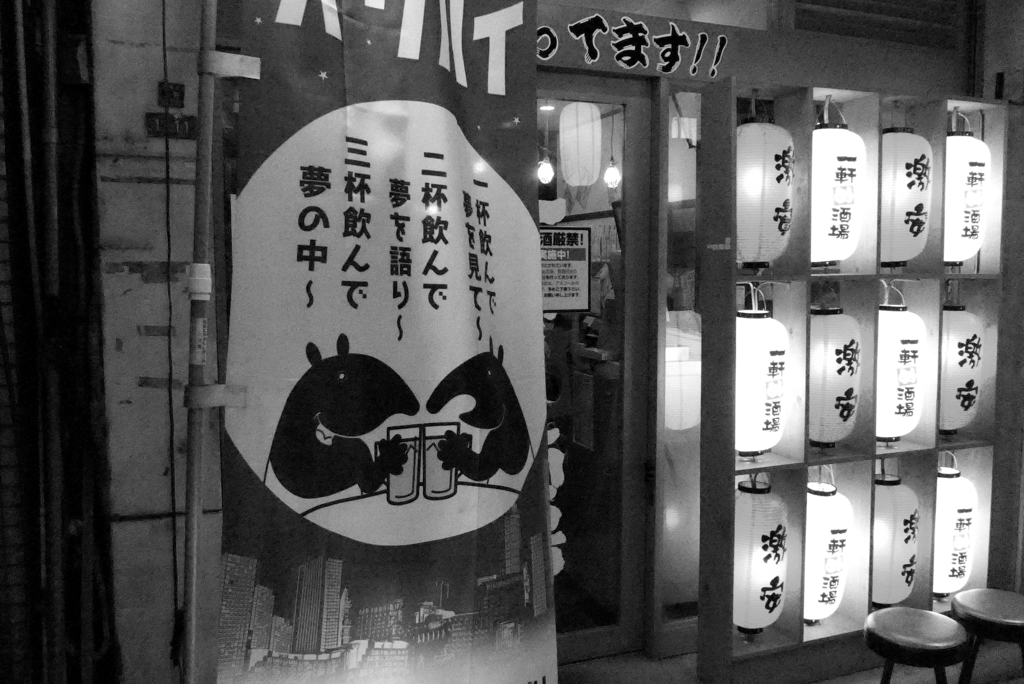 アメ横から秋葉原へ2013年11月 夜 (26)