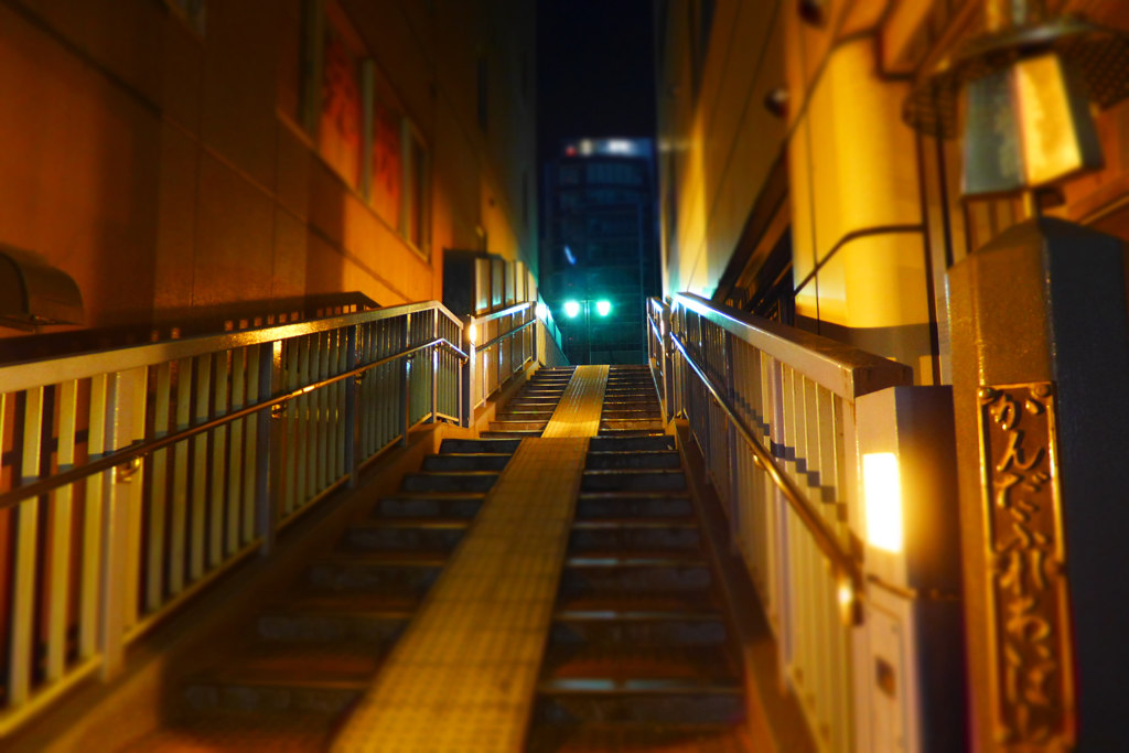 秋葉原の二社・その界隈 (13)