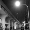 アメ横から秋葉原へ2013年11月 夜 (48)