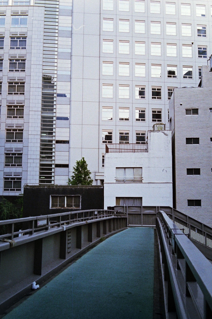 新宿甲州街道界隈 (4)