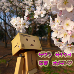 サクラ　サイタョ