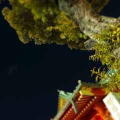 秋葉原の二社・その界隈 (3)