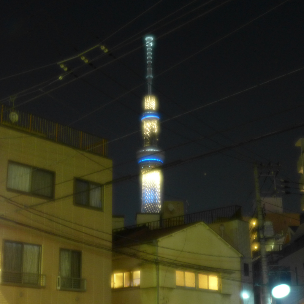 民家から生える押上タワー