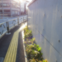 上野から鶯谷辺り (3)