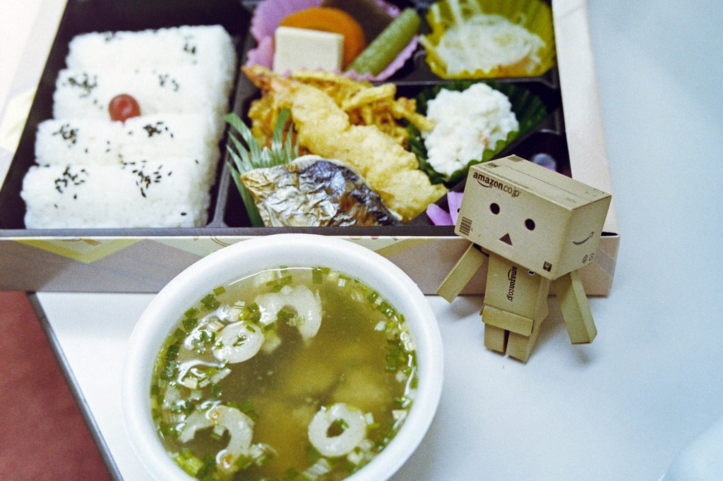 お出かけお弁当 (1)