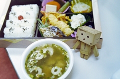 お出かけお弁当 (1)