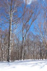 長野へ (13)