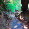 屋久島 (5)
