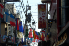 年始の中野界隈2014 (5)