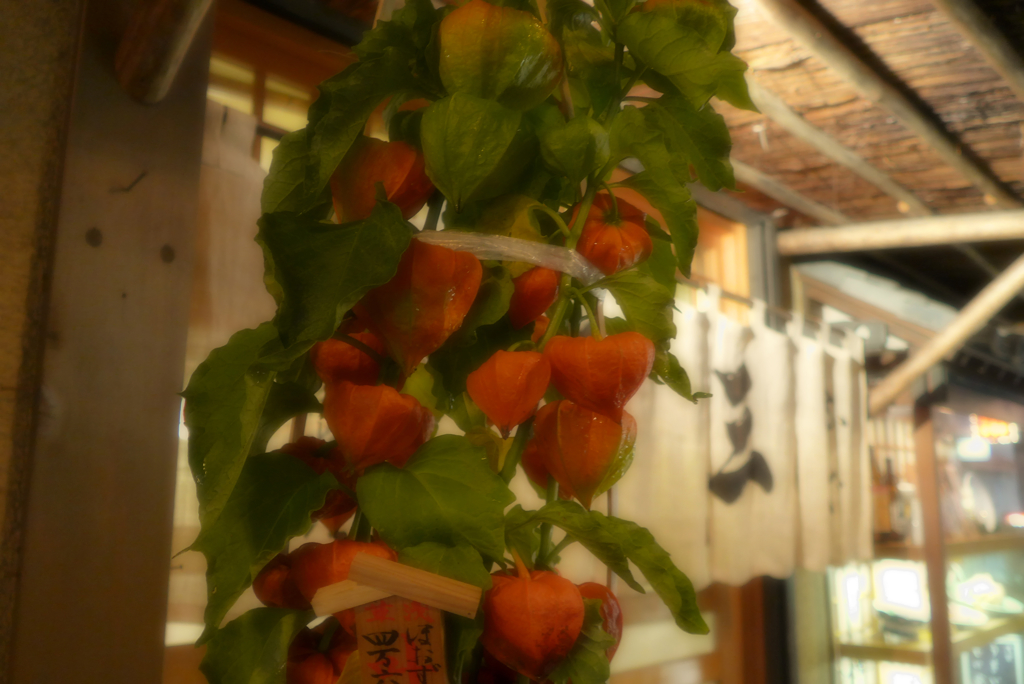 浅草散歩･夜 (5)