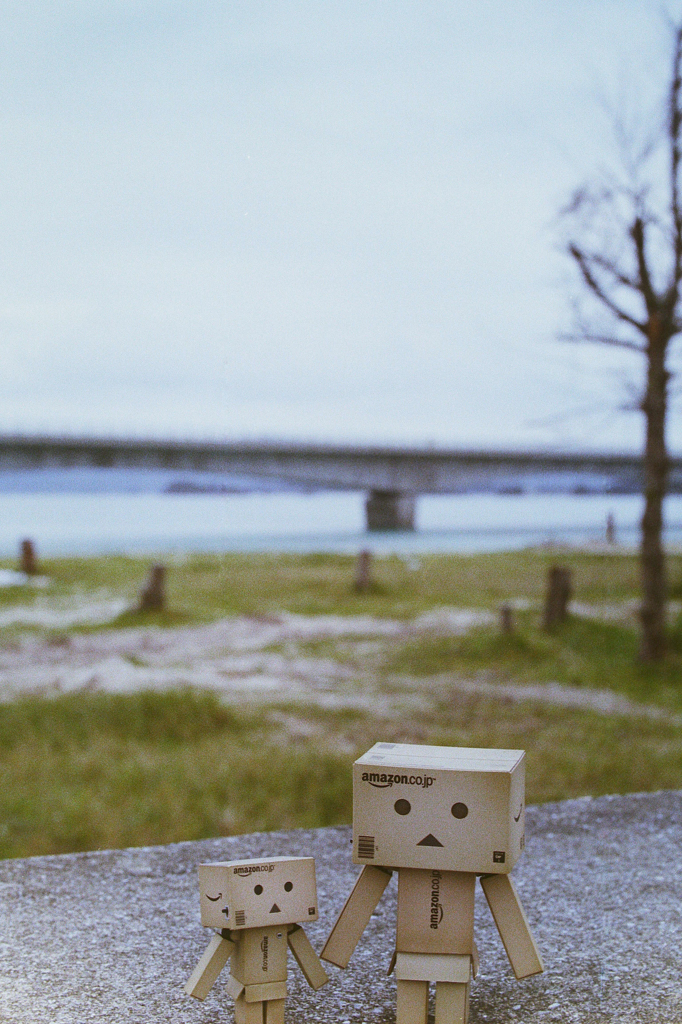 古宇利島・ダンボー (2)