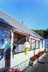 鳥取・花回廊? (3)