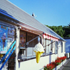 鳥取・花回廊？ (3)