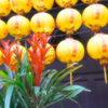 台湾・龍山寺 (6)