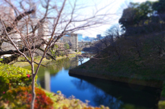 ジオラマで一般参賀 (8)