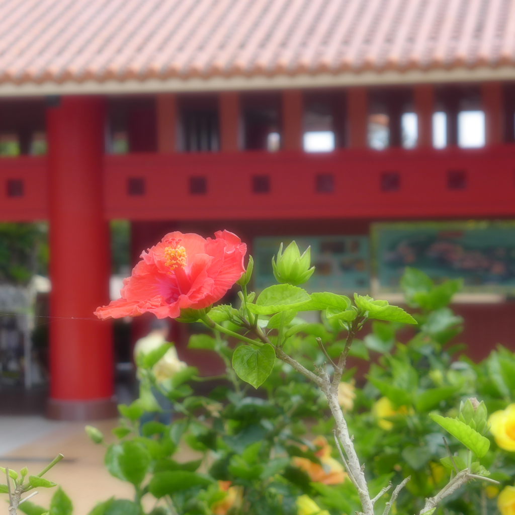 沖縄ワールド入り口