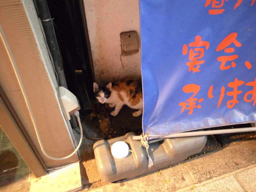 夜・中野辺り