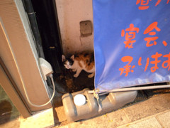夜・中野辺り